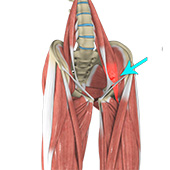 Hip Flexor Strain