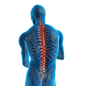 Spine Injuries in Athletes